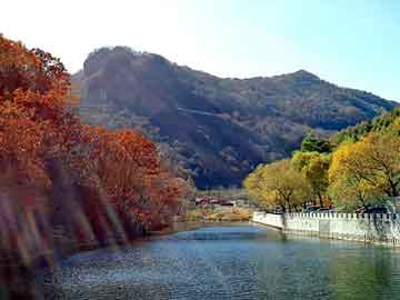 澳门精准正版免费大全14年新，国产耐磨板